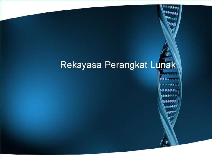 Rekayasa Perangkat Lunak 