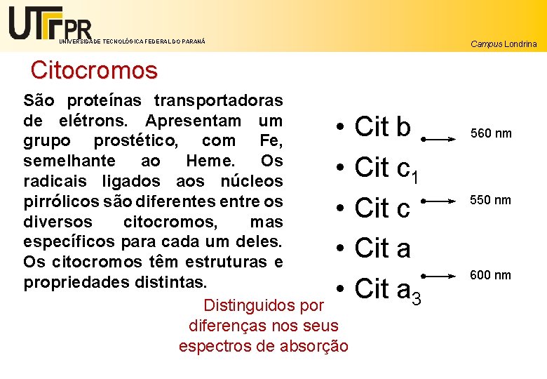 UNIVERSIDADE TECNOLÓGICA FEDERAL DO PARANÁ Campus Londrina Citocromos São proteínas transportadoras de elétrons. Apresentam