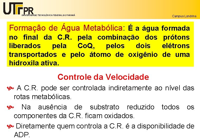 UNIVERSIDADE TECNOLÓGICA FEDERAL DO PARANÁ Campus Londrina Formação de Água Metabólica: É a água