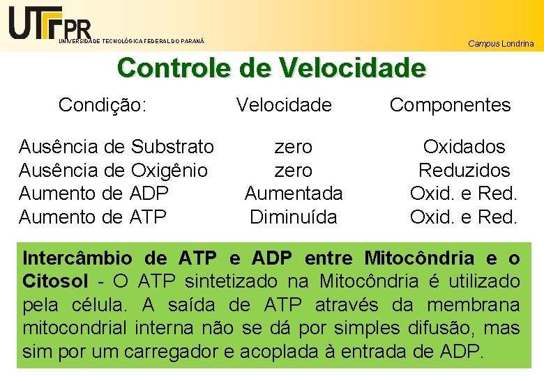 UNIVERSIDADE TECNOLÓGICA FEDERAL DO PARANÁ Campus Londrina Controle de Velocidade Condição: Ausência de Substrato