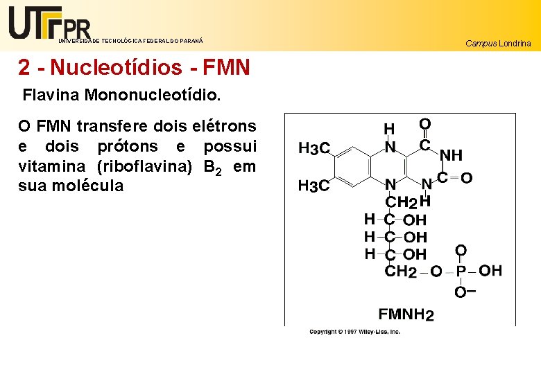 UNIVERSIDADE TECNOLÓGICA FEDERAL DO PARANÁ 2 - Nucleotídios - FMN Flavina Mononucleotídio. O FMN