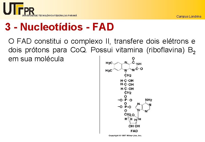 UNIVERSIDADE TECNOLÓGICA FEDERAL DO PARANÁ Campus Londrina 3 - Nucleotídios - FAD O FAD