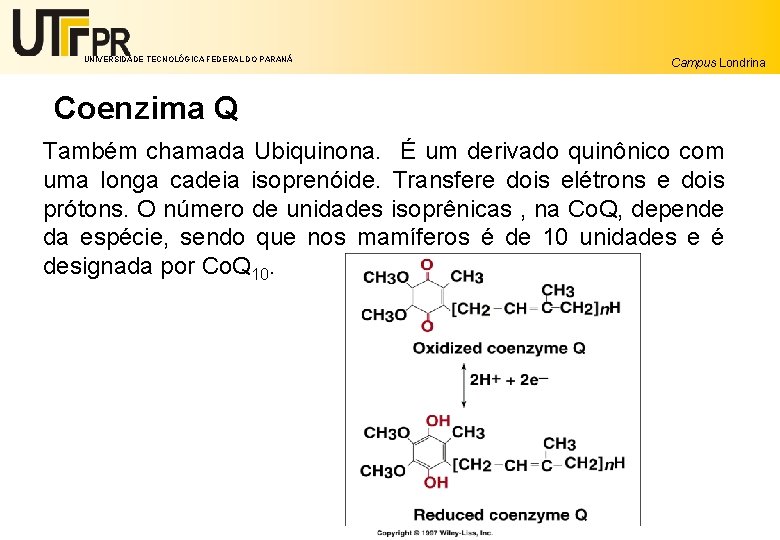 UNIVERSIDADE TECNOLÓGICA FEDERAL DO PARANÁ Campus Londrina Coenzima Q Também chamada Ubiquinona. É um
