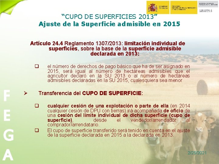 “CUPO DE SUPERFICIES 2013” Ajuste de la Superficie admisible en 2015 Artículo 24. 4