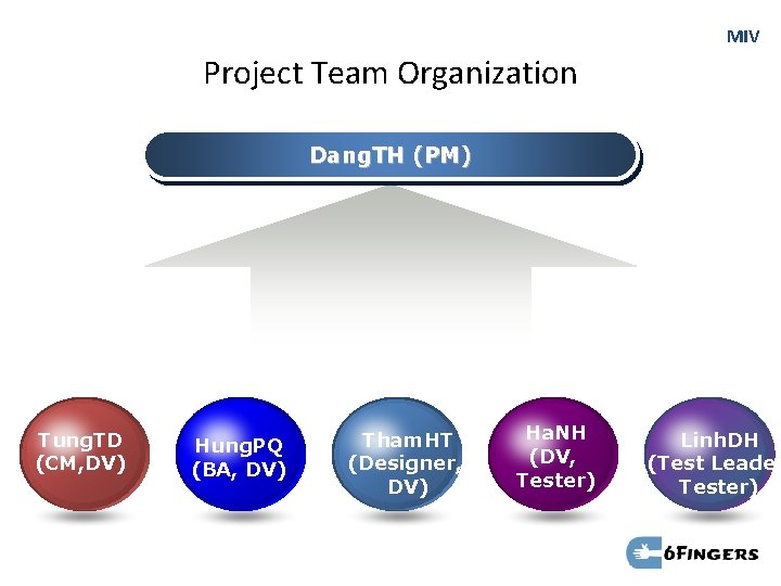 MIV Project Team Organization Dang. TH (PM) Tung. TD (CM, DV) Hung. PQ (BA,