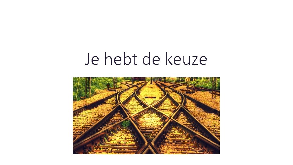 Je hebt de keuze 