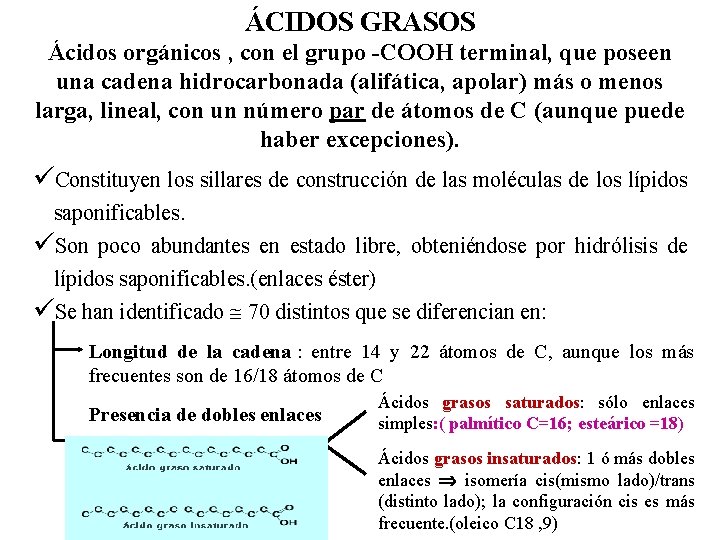 ÁCIDOS GRASOS Ácidos orgánicos , con el grupo -COOH terminal, que poseen una cadena