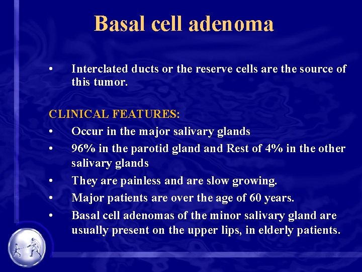 Basal cell adenoma • Interclated ducts or the reserve cells are the source of