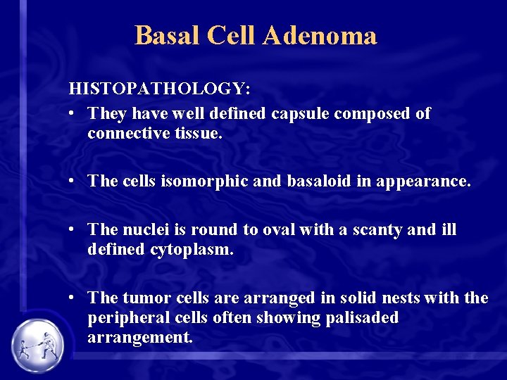 Basal Cell Adenoma HISTOPATHOLOGY: • They have well defined capsule composed of connective tissue.