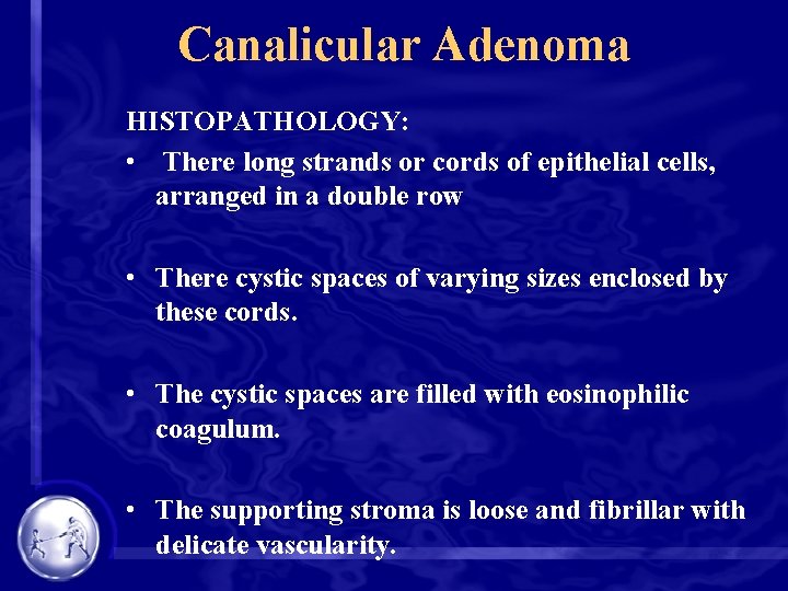Canalicular Adenoma HISTOPATHOLOGY: • There long strands or cords of epithelial cells, arranged in