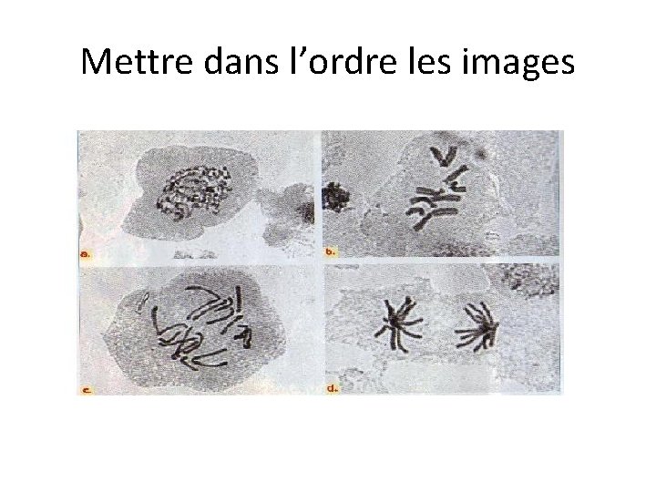 Mettre dans l’ordre les images 