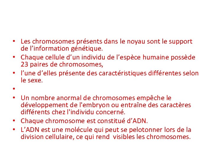  • Les chromosomes présents dans le noyau sont le support de l’information génétique.