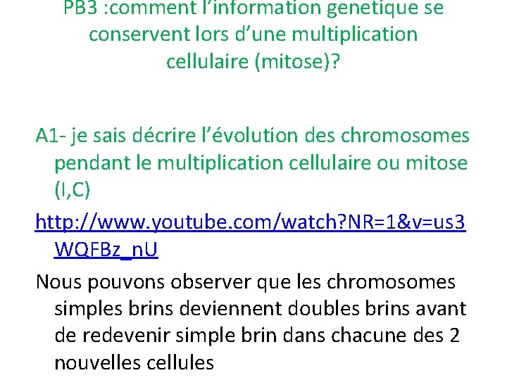 PB 3 : comment l’information genetique se conservent lors d’une multiplication cellulaire (mitose)? A