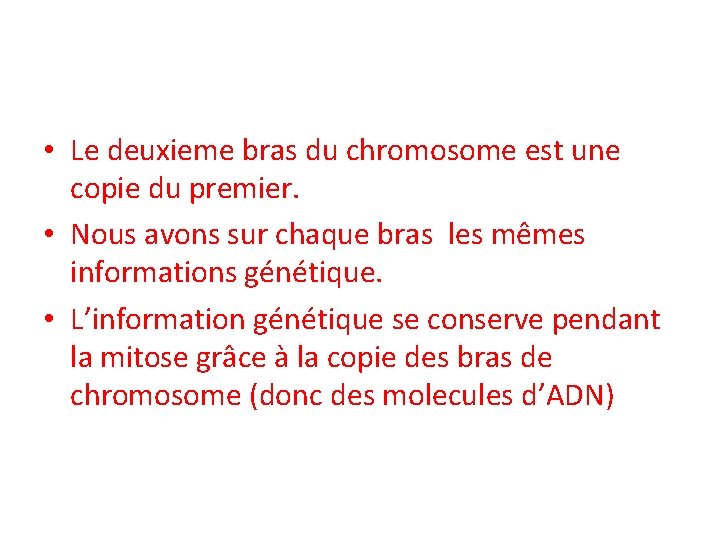  • Le deuxieme bras du chromosome est une copie du premier. • Nous