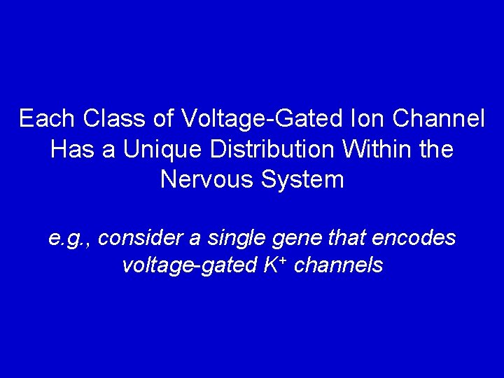 Each Class of Voltage-Gated Ion Channel Has a Unique Distribution Within the Nervous System