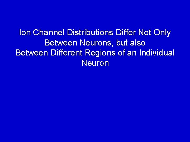 Ion Channel Distributions Differ Not Only Between Neurons, but also Between Different Regions of