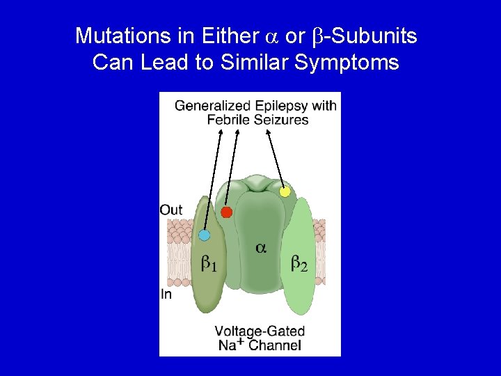 Mutations in Either a or b-Subunits Can Lead to Similar Symptoms 