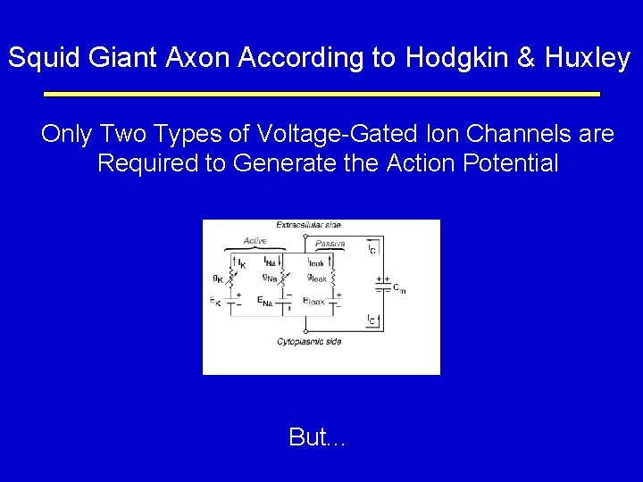 Squid Giant Axon According to Hodgkin & Huxley Only Two Types of Voltage-Gated Ion