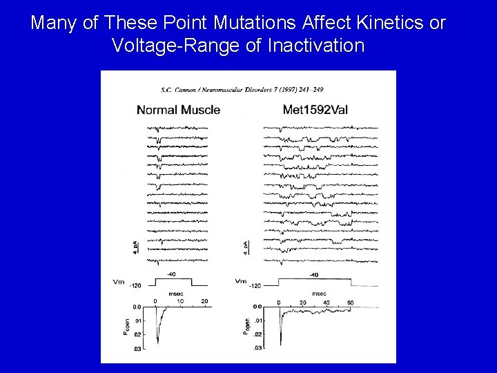 Many of These Point Mutations Affect Kinetics or Voltage-Range of Inactivation 