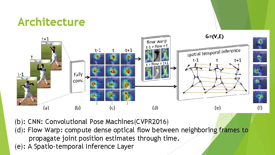 Architecture G=(V, E) (b): CNN: Convolutional Pose Machines(CVPR 2016) (d): Flow Warp: compute dense