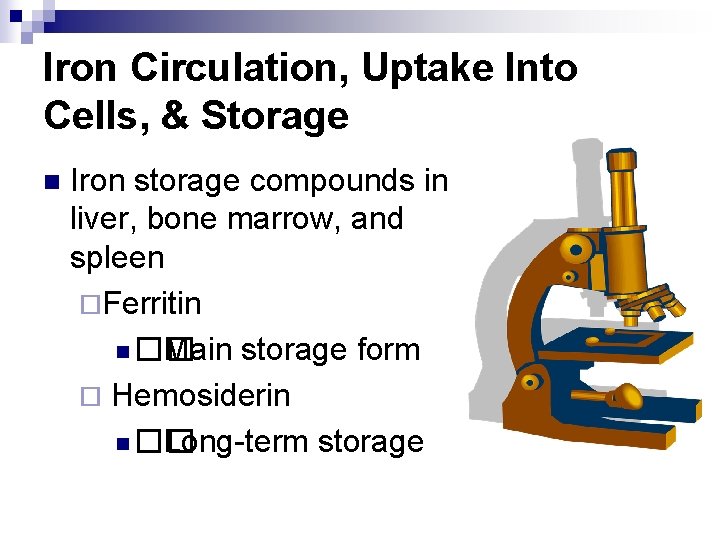 Iron Circulation, Uptake Into Cells, & Storage n Iron storage compounds in liver, bone