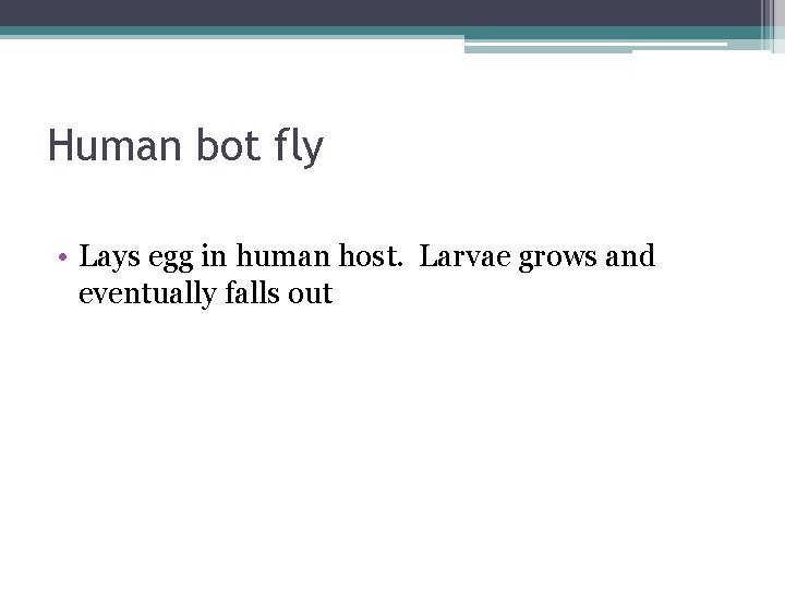 Human bot fly • Lays egg in human host. Larvae grows and eventually falls