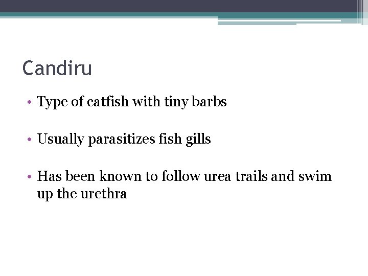 Candiru • Type of catfish with tiny barbs • Usually parasitizes fish gills •