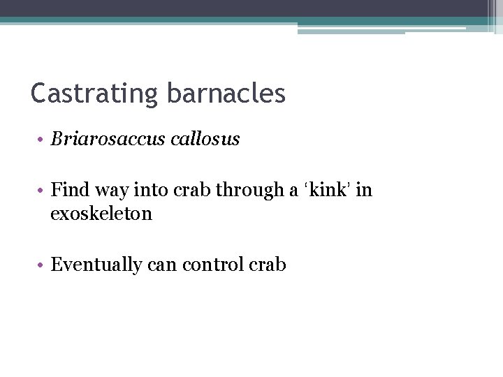 Castrating barnacles • Briarosaccus callosus • Find way into crab through a ‘kink’ in