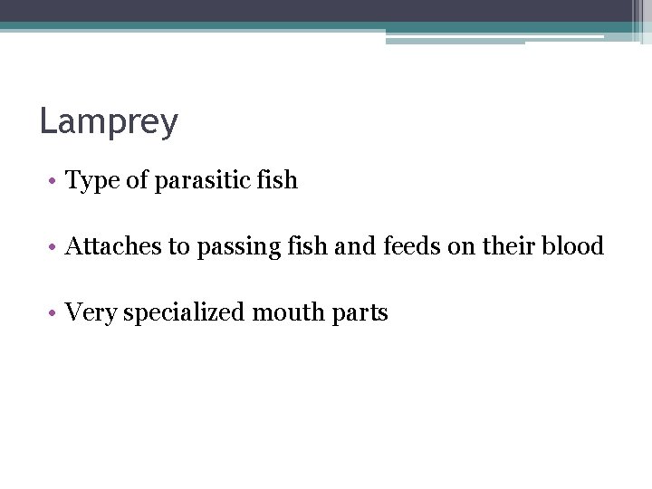 Lamprey • Type of parasitic fish • Attaches to passing fish and feeds on