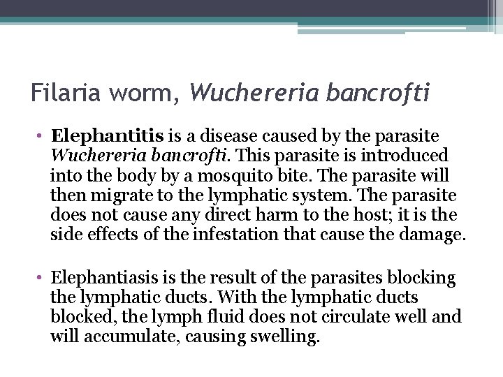 Filaria worm, Wuchereria bancrofti • Elephantitis is a disease caused by the parasite Wuchereria