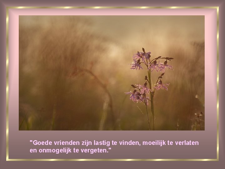 "Goede vrienden zijn lastig te vinden, moeilijk te verlaten en onmogelijk te vergeten. "