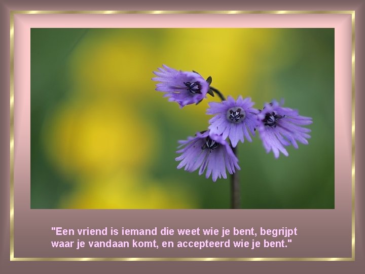 "Een vriend is iemand die weet wie je bent, begrijpt waar je vandaan komt,