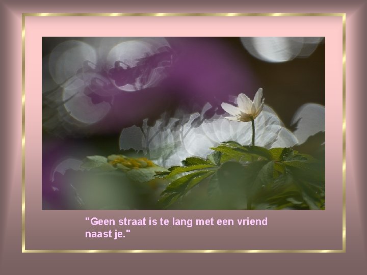 "Geen straat is te lang met een vriend naast je. " 