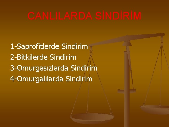 CANLILARDA SİNDİRİM 1 -Saprofitlerde Sindirim 2 -Bitkilerde Sindirim 3 -Omurgasızlarda Sindirim 4 -Omurgalılarda Sindirim