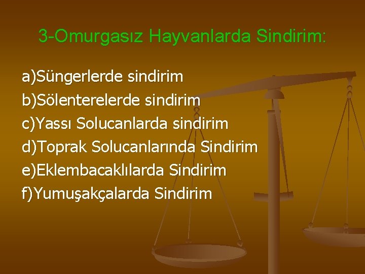 3 -Omurgasız Hayvanlarda Sindirim: a)Süngerlerde sindirim b)Sölenterelerde sindirim c)Yassı Solucanlarda sindirim d)Toprak Solucanlarında Sindirim