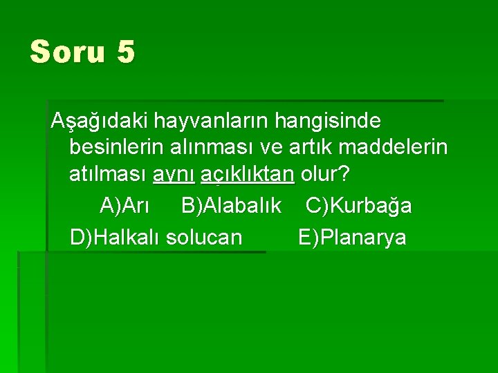 Soru 5 Aşağıdaki hayvanların hangisinde besinlerin alınması ve artık maddelerin atılması aynı açıklıktan olur?