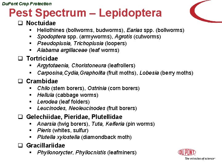 Du. Pont Crop Protection Pest Spectrum – Lepidoptera q Noctuidae § § Heliothines (bollworms,