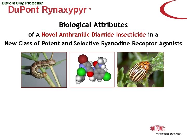 Du. Pont Crop Protection Du. Pont Rynaxypyr™ Biological Attributes of A Novel Anthranilic Diamide