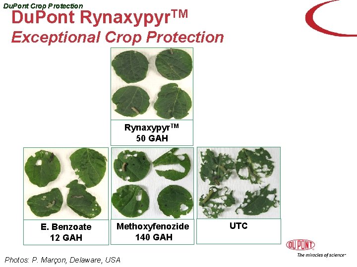 Du. Pont Crop Protection Du. Pont Rynaxypyr. TM Exceptional Crop Protection Rynaxypyr. TM 50