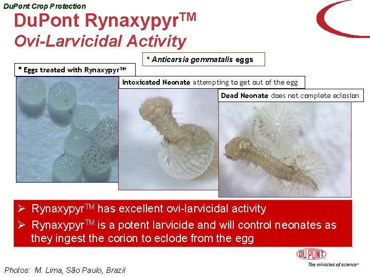 Du. Pont Crop Protection Du. Pont Rynaxypyr. TM Ovi-Larvicidal Activity * Anticarsia gemmatalis eggs