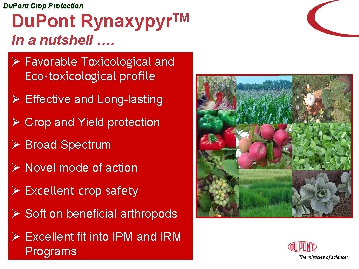 Du. Pont Crop Protection Du. Pont Rynaxypyr. TM In a nutshell …. Ø Favorable