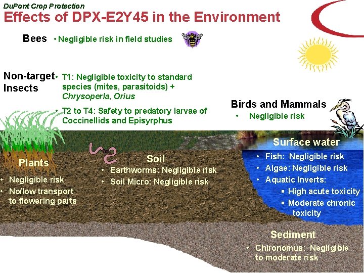 Du. Pont Crop Protection Effects of DPX-E 2 Y 45 in the Environment Bees