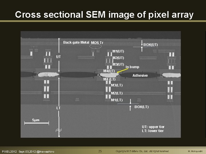 Cross sectional SEM image of pixel array Back gate Metal MOS Tr BOX(UT) M