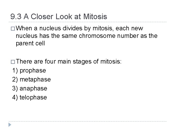 9. 3 A Closer Look at Mitosis � When a nucleus divides by mitosis,