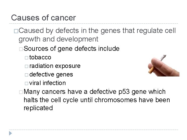 Causes of cancer � Caused by defects in the genes that regulate cell growth