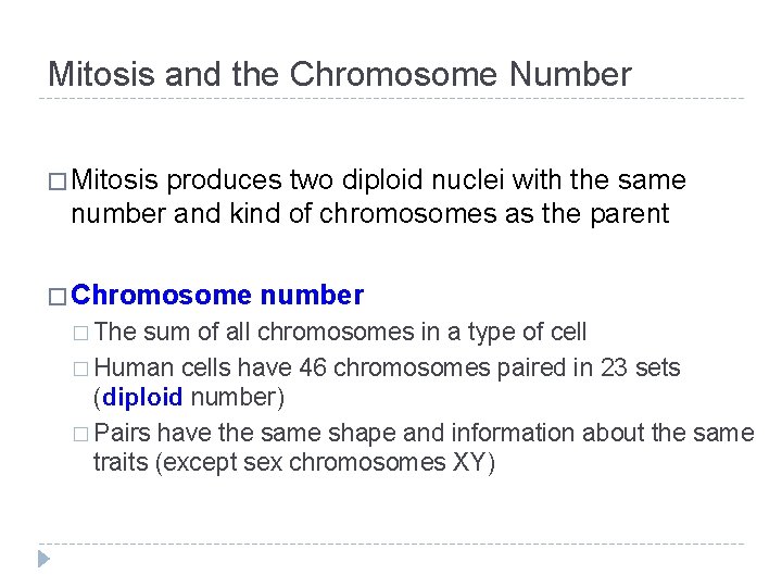 Mitosis and the Chromosome Number � Mitosis produces two diploid nuclei with the same