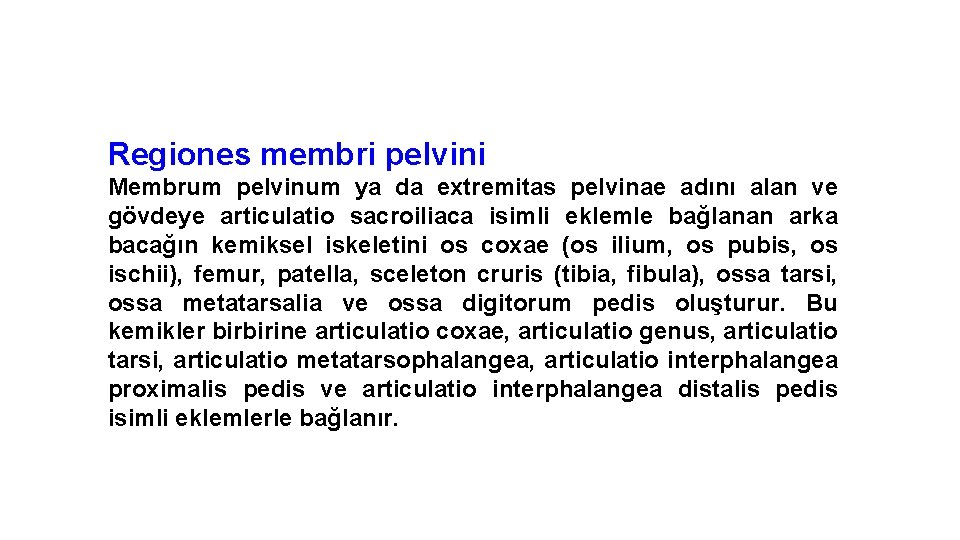 Regiones membri pelvini Membrum pelvinum ya da extremitas pelvinae adını alan ve gövdeye articulatio