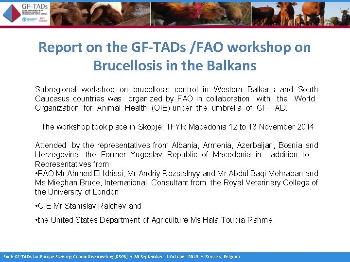 Report on the GF-TADs /FAO workshop on Brucellosis in the Balkans Subregional workshop on