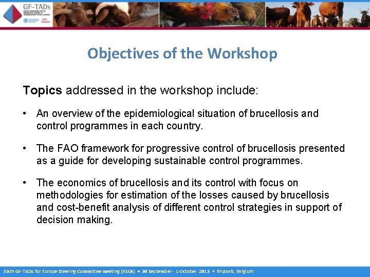 Objectives of the Workshop Topics addressed in the workshop include: • An overview of