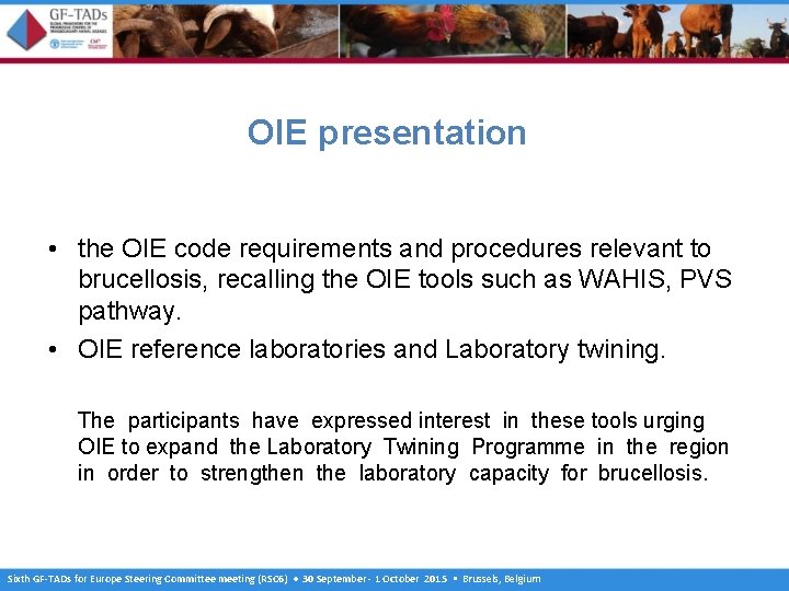 OIE presentation • the OIE code requirements and procedures relevant to brucellosis, recalling the